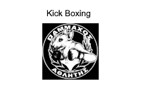 pammaxos kick boxLOGO25